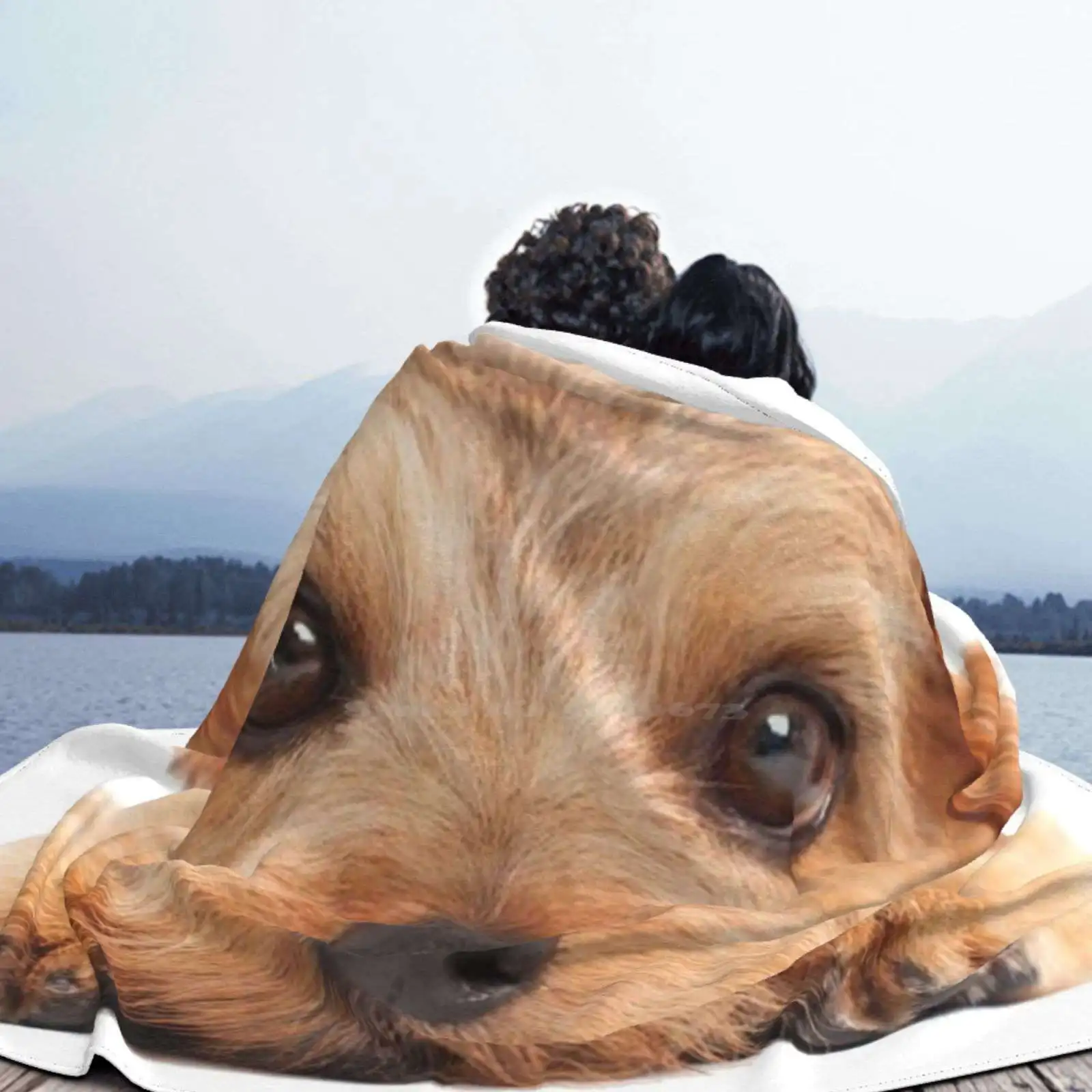 Норфолк териер, Ново Разпространяван Фланелевое Меко Одеало С Принтом На Поръчка Norfolk Terrier Pet Dog Animal Twin Bucket Hats . ' - ' . 5