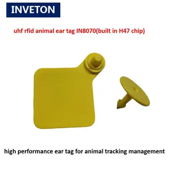 Пасивна ушна етикет едър рогат добитък 860-960 Mhz, ушна етикет от животински произход за проследяване на едър рогат добитък RFID UHF ушна етикет от животински произход