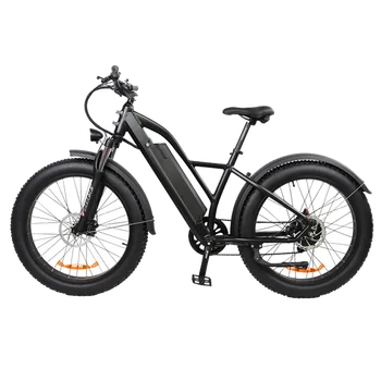 Планински Велосипед под наем сплав Директна доставка от фабрика за Електрически градска Почивка led литиева батерия LCD 48V Мотор гърба на главината EB01